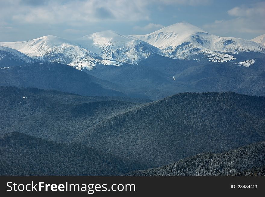 Winter landscape with fur-trees and fresh snow. Ukraine, Carpathians