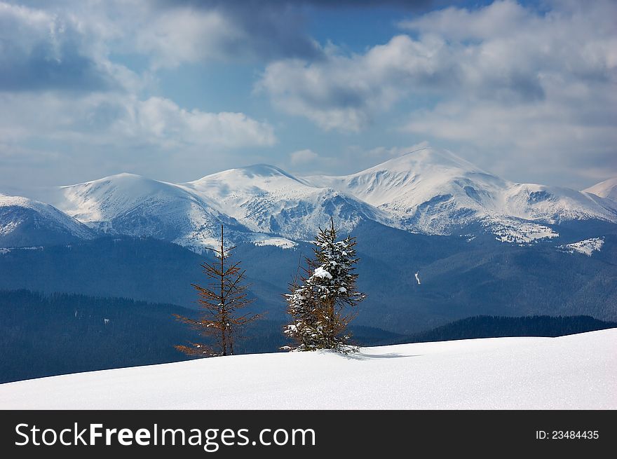 Winter landscape in the mountains. Ukraine, Carpathians, ridge Chernogora. Winter landscape in the mountains. Ukraine, Carpathians, ridge Chernogora