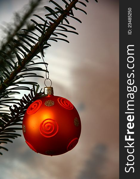 Detail of Christmas decorations, ornament hanging on a branch, vegetables isolated from the background, orange Christmas decorations adorn the pine branch. Detail of Christmas decorations, ornament hanging on a branch, vegetables isolated from the background, orange Christmas decorations adorn the pine branch