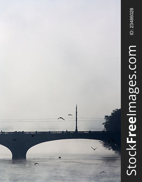 Bridge in fog, birds flying over the bridge, black and white photographs bridge Vltava river under the bridge, autumn day on the river