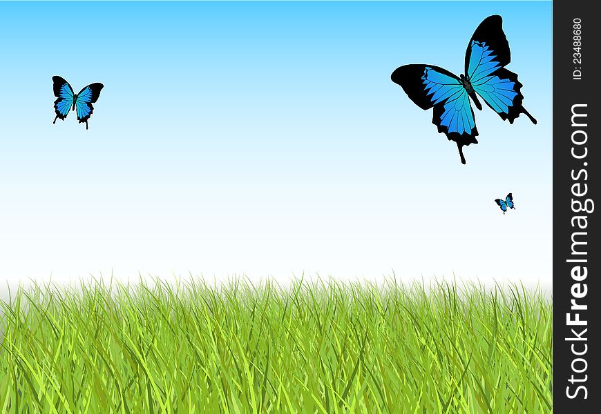 Blue Sky with Detailed Grass and Butterflies. Blue Sky with Detailed Grass and Butterflies