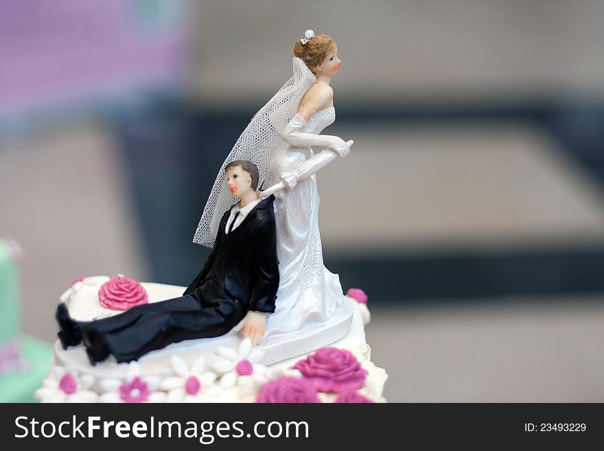 Wedding couple on the cake.