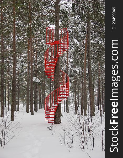 Red staircase on tree in Sweden in winter