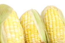 3 Ears Of Candy Corn Stock Photography 3 Ears Of Candy Corn Stock Photography