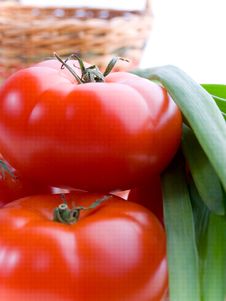 Tomatoes Stock Photo Tomatoes Stock Photo