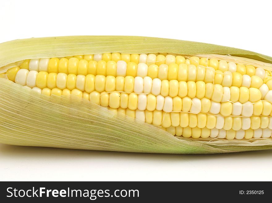 Picture of a ear of corn on white upclose