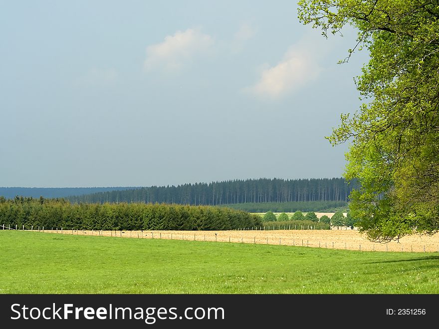 Summer landscape with piece of tree in foreground