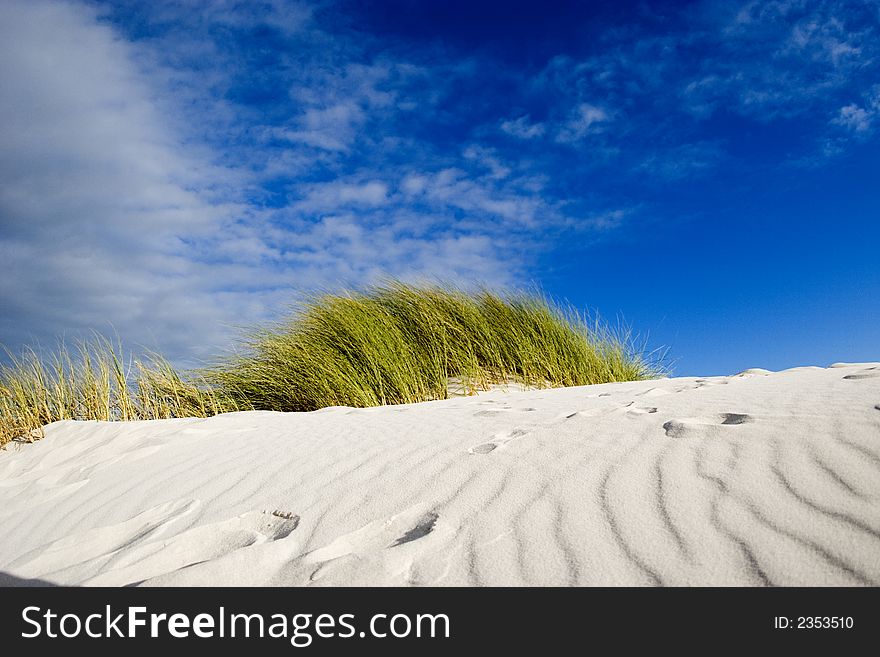 Betty's Bay sand dunes. Betty's Bay sand dunes.