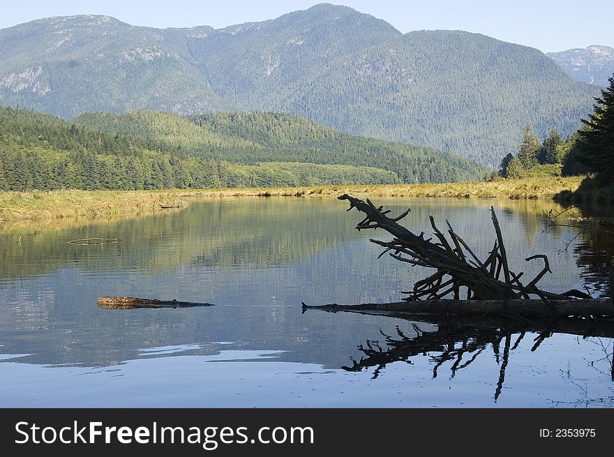 Pacific Coast Landscape