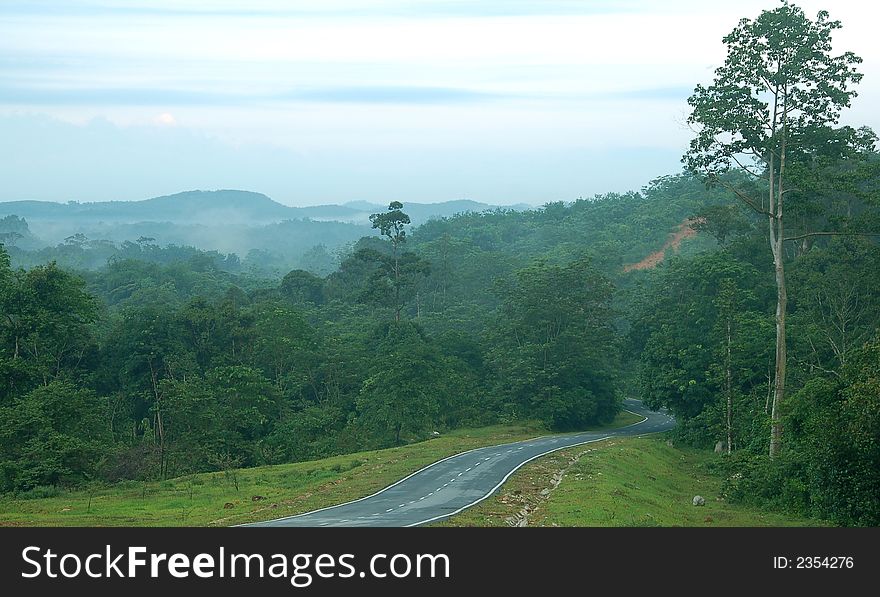 A road cut through forest in Malaysia showing narrow and gradient with greenery at the back. A road cut through forest in Malaysia showing narrow and gradient with greenery at the back
