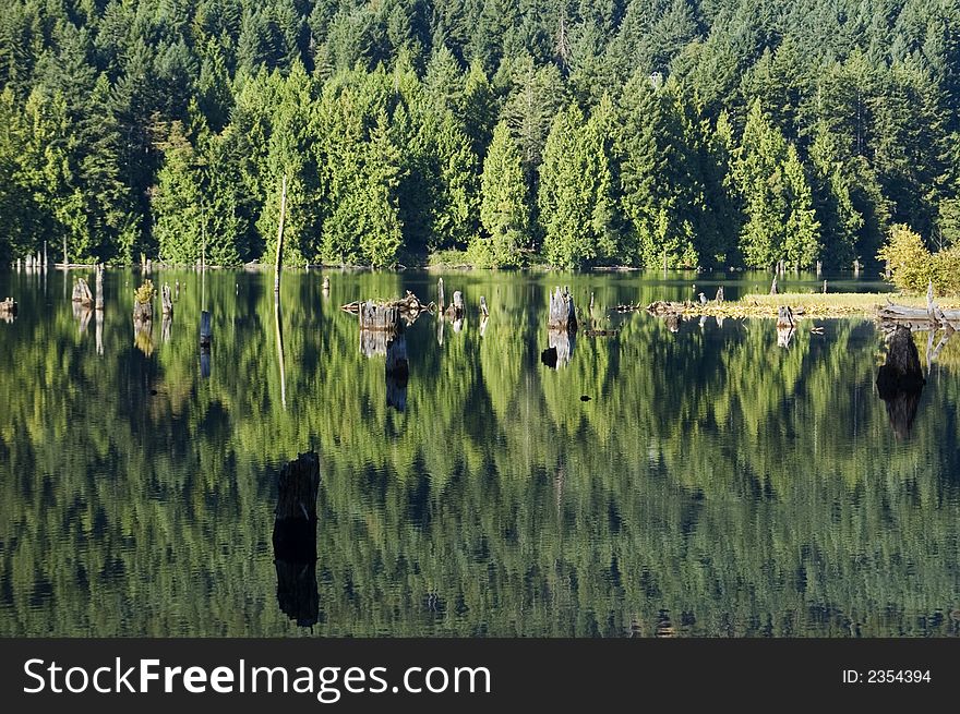 At a small lake on vancouver island the woods mirror in the lakes surface,. At a small lake on vancouver island the woods mirror in the lakes surface,