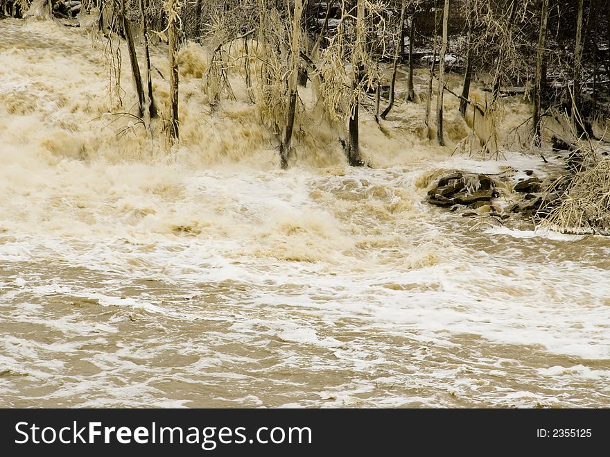 Dirty raging river running downstream through trees and branches