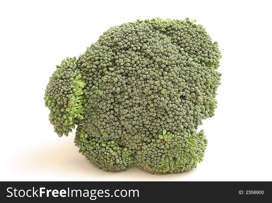 Head Of Broccoli Straight On