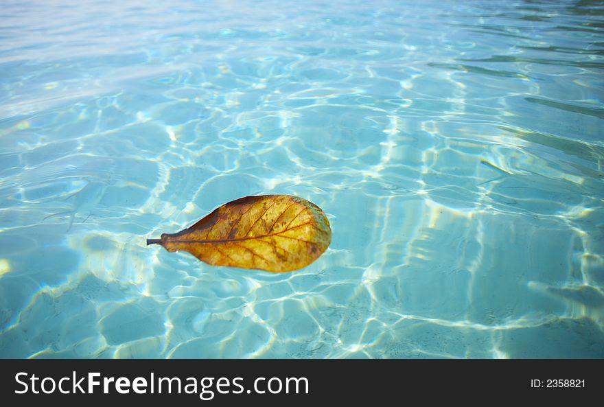 Tropical island beach at the blue water