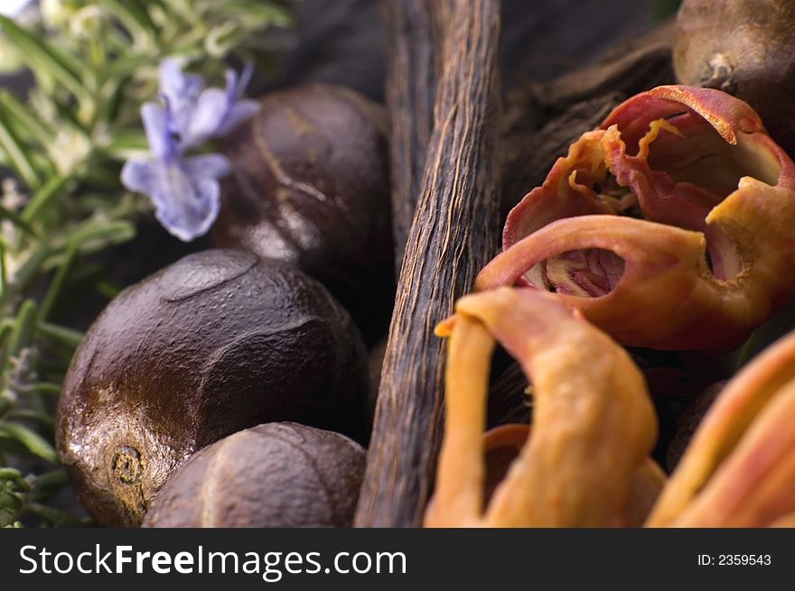 Herbs and spices. garlic, rosemary, vanilla, pepper, salt, cardamon, bay leaf. Herbs and spices. garlic, rosemary, vanilla, pepper, salt, cardamon, bay leaf