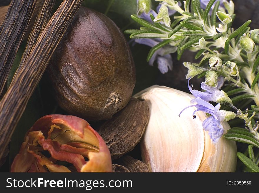 Herbs and spices. garlic, rosemary, vanilla, pepper, salt, cardamon, bay leaf. Herbs and spices. garlic, rosemary, vanilla, pepper, salt, cardamon, bay leaf