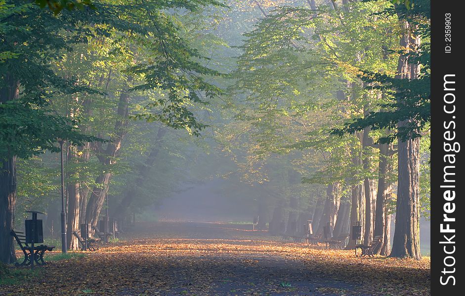 Branches and bins in the park in autumn