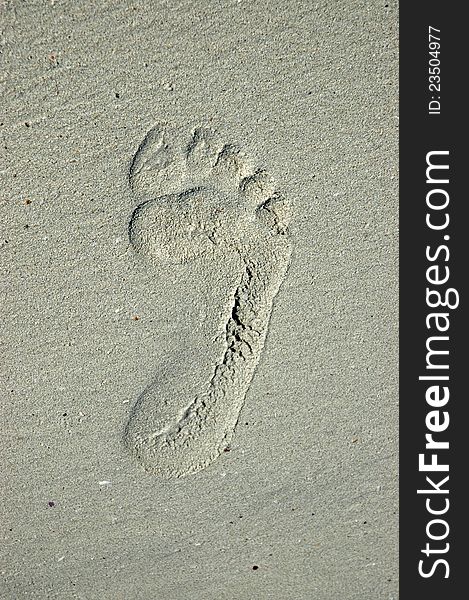 Color photo of a foot print in sand. Color photo of a foot print in sand