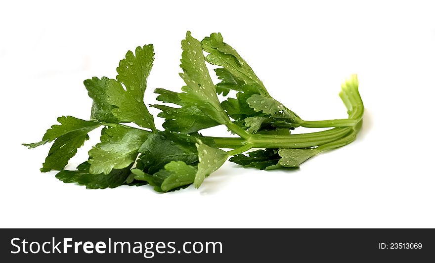 A leek leaf that is rinsed with water. A leek leaf that is rinsed with water