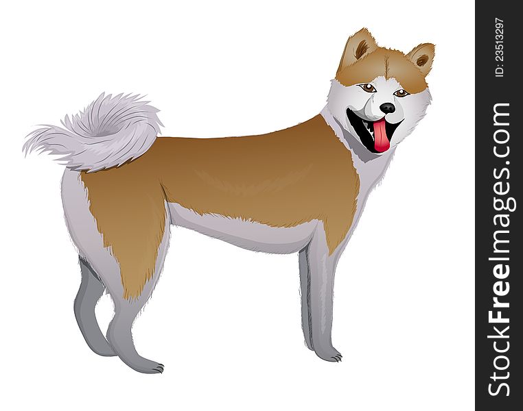 Akita Inu Japanese Dog vector illustration eps 10