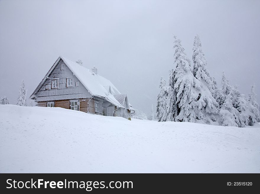 Snow-covered cottage in the mountains, overcast winter day, windblown snow on the trees, a large amount of snow in winter travel. Snow-covered cottage in the mountains, overcast winter day, windblown snow on the trees, a large amount of snow in winter travel