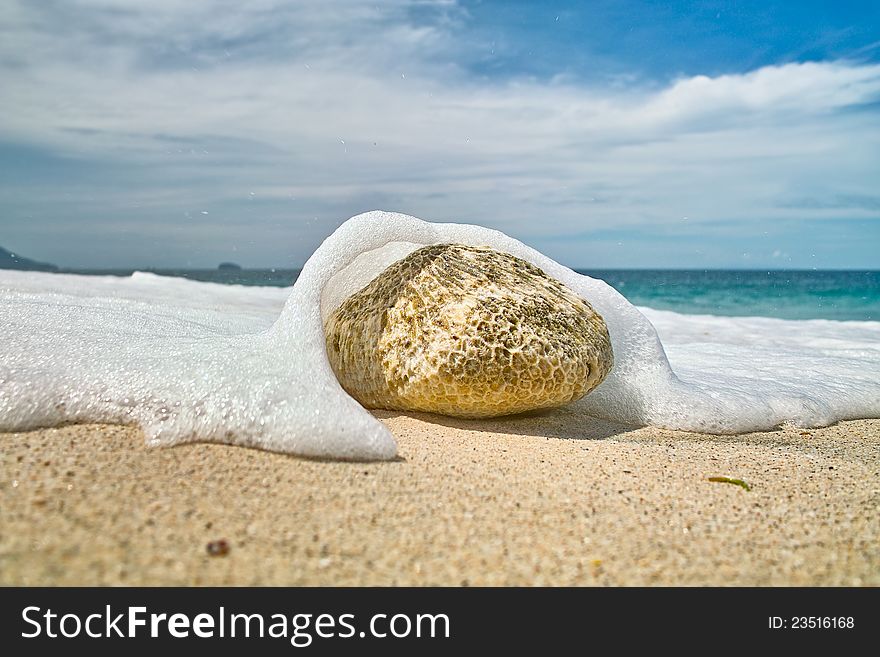 Stone On The Beach