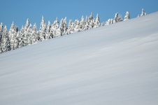 Trees Covered With Hoarfrost And Snow In Mountains Royalty Free Stock Photo