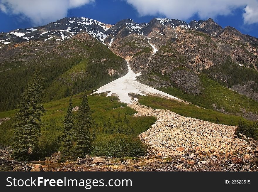 Landscape with the Canadian Rocky Mountains