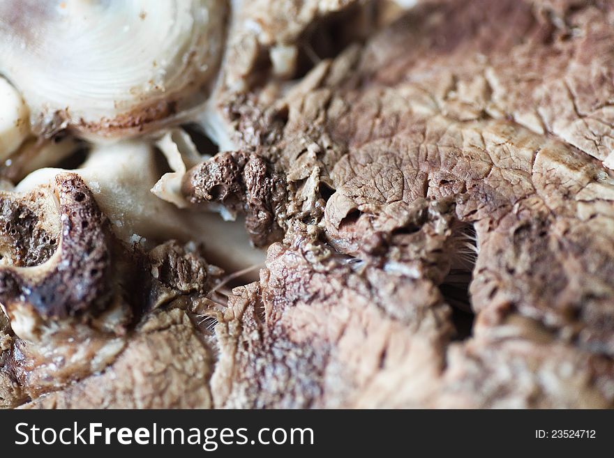 Piece of boiled meat closeup. Piece of boiled meat closeup