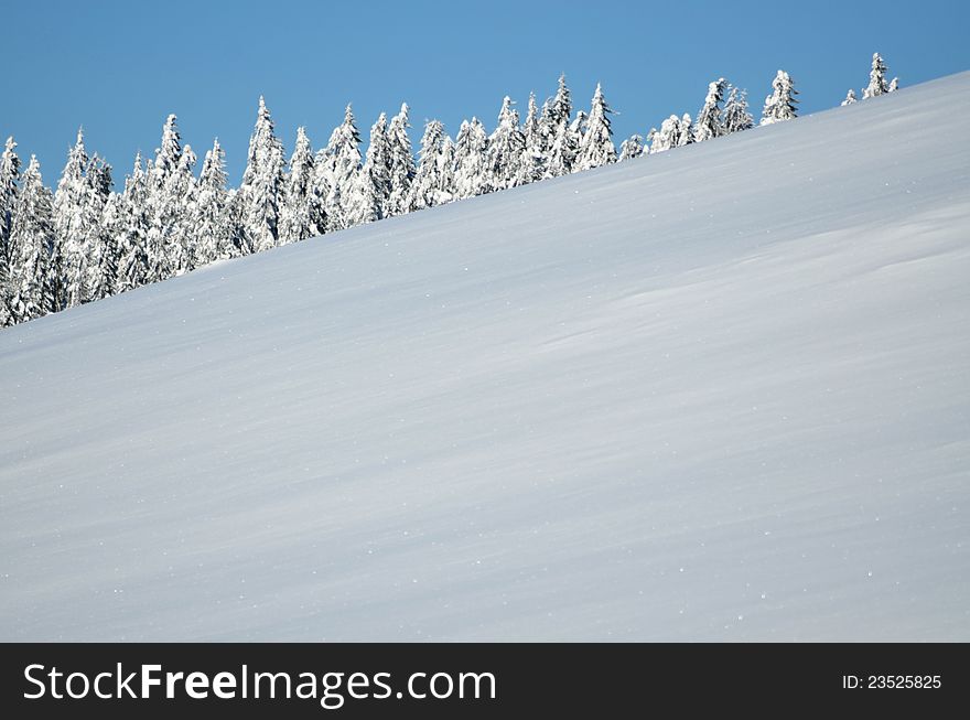 Trees Covered With Hoarfrost And Snow In Mountains