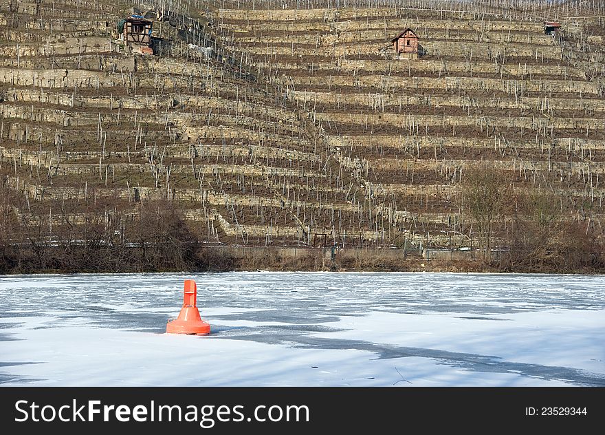 Vineyards And Frozen River