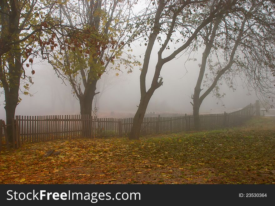 Foggy autumn, November cool morning