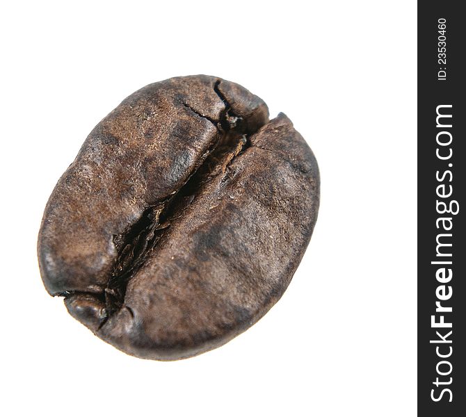 The one coffee bean on a white background