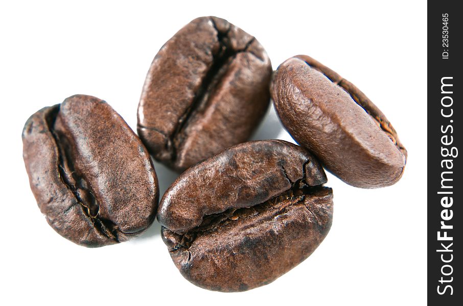 The  Coffee Beans