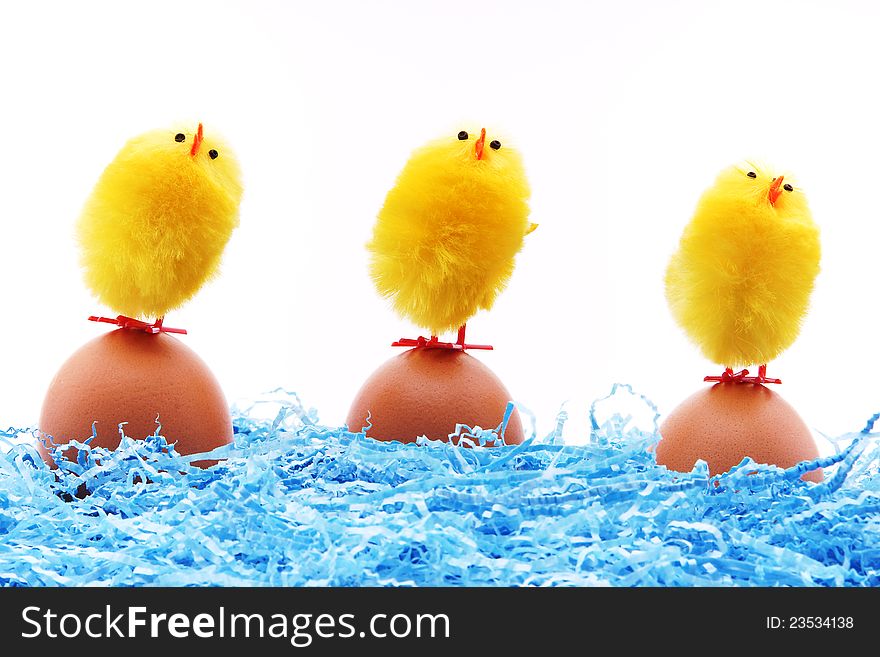 Chicks Cleaning For The Easter