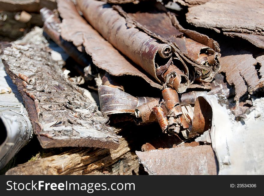 Closeup of shredded wood shavings for kindling