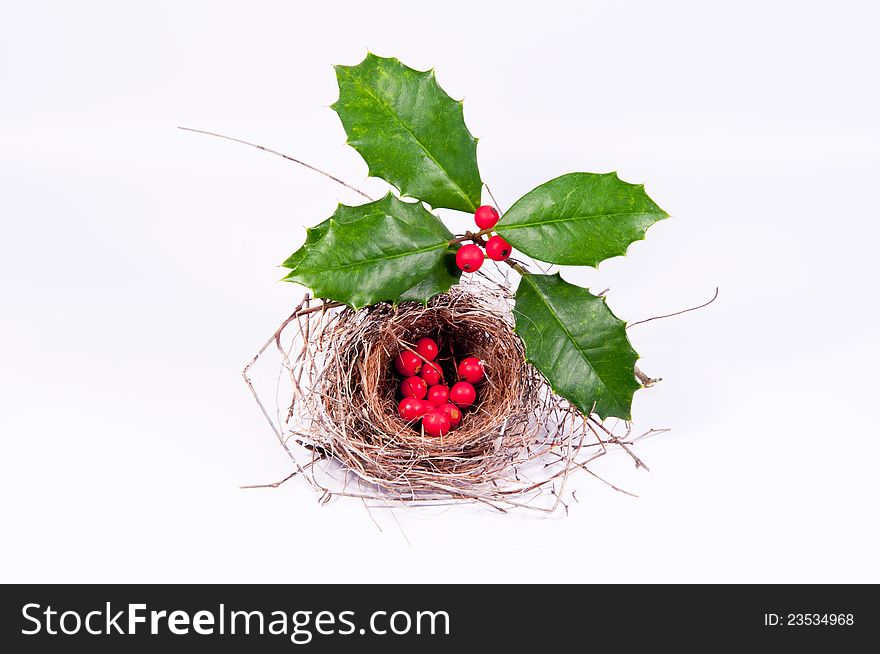 Green holly leaves, red berries, and a bird's nest on white. Green holly leaves, red berries, and a bird's nest on white.