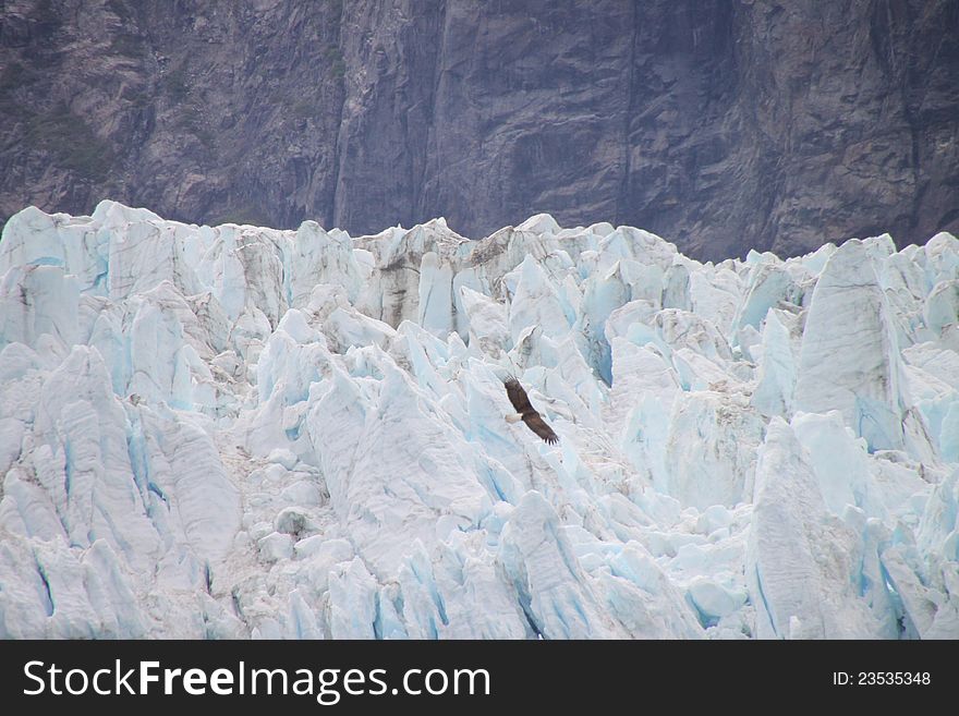 Closeup image detail of a glacier in Alaska with bald eagle flying. Closeup image detail of a glacier in Alaska with bald eagle flying