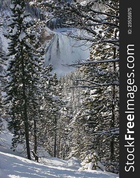 Frozen waterfall in Yellowstone Park midwinter. Frozen waterfall in Yellowstone Park midwinter