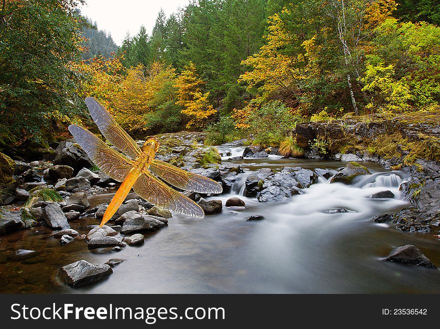 Golden dragonfly glides over mountain creek surrounded by autumn trees. Golden dragonfly glides over mountain creek surrounded by autumn trees