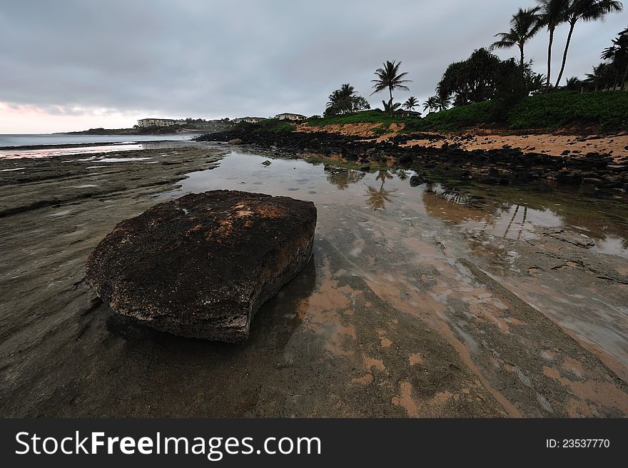 Lava rock with palm tree and beach in the background. Lava rock with palm tree and beach in the background