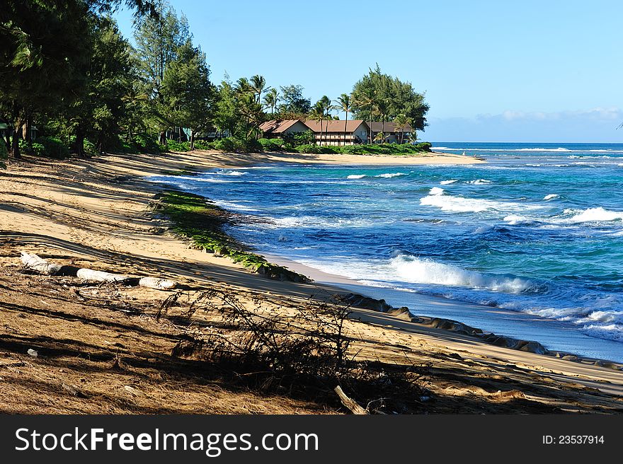 A beatiful beach scene on Kauais north shore with the pacific ocean. A beatiful beach scene on Kauais north shore with the pacific ocean