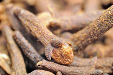 Cloves Macro Royalty Free Stock Photos Cloves Macro Royalty Free Stock Photos