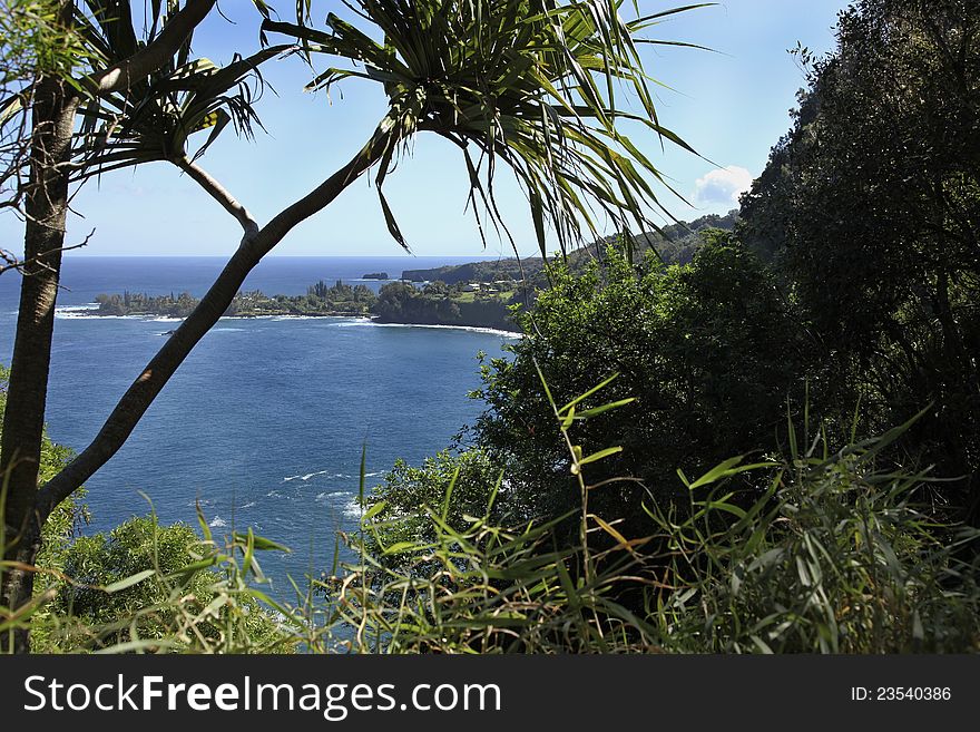 Scenic view from the road to Hana