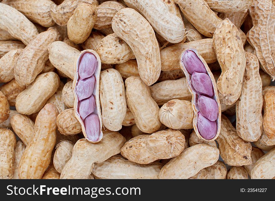 Close up shot of boiled raw peanuts. Close up shot of boiled raw peanuts.
