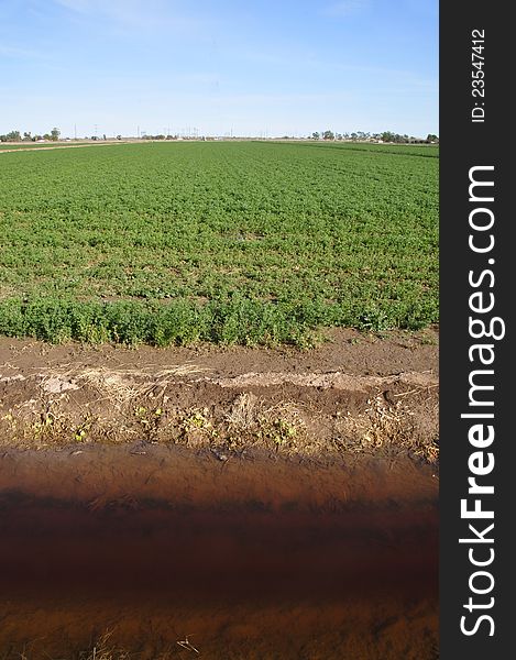 Irrigation ditch along edge of farming plot. Irrigation ditch along edge of farming plot