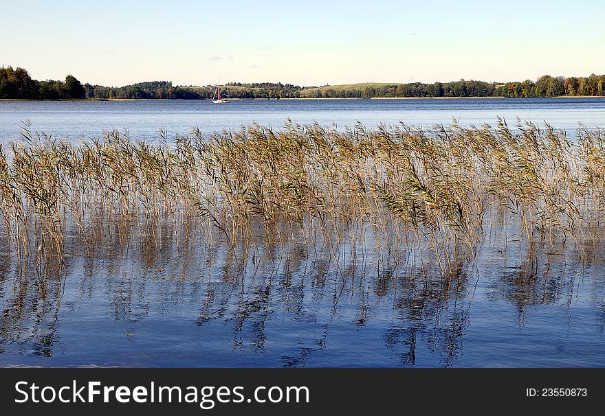 Lake. Early Autumn