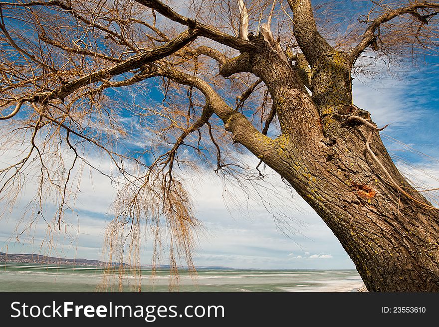 Balaton In Winter