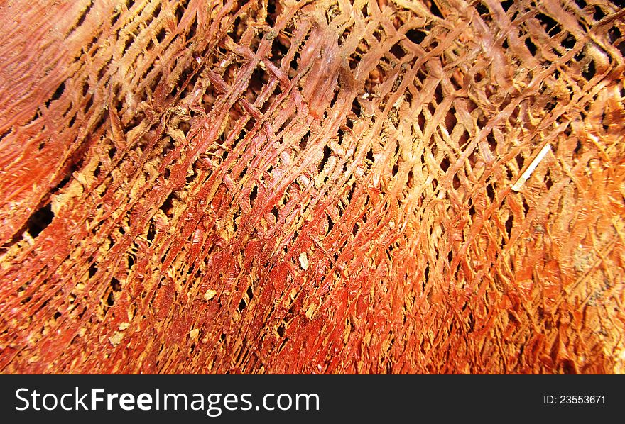 Abstract network background organic texture. Abstract network background organic texture