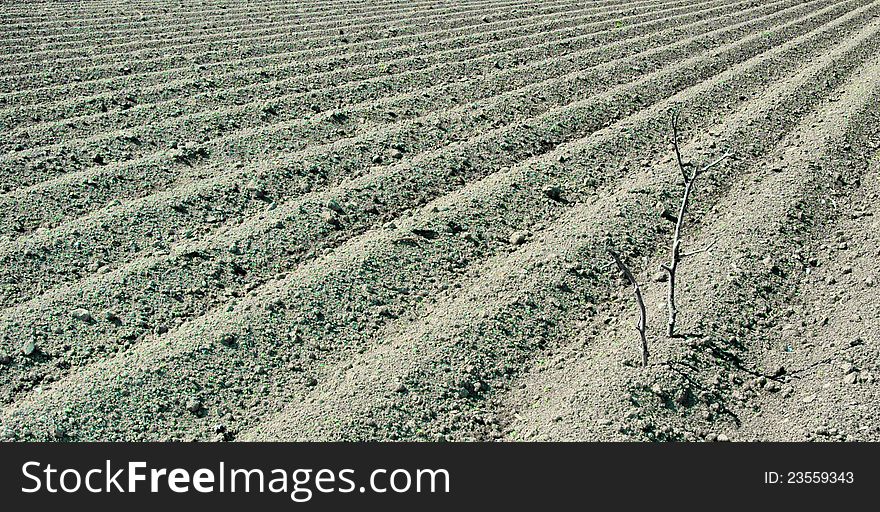 Plowed ground, with brown stones and loose soil